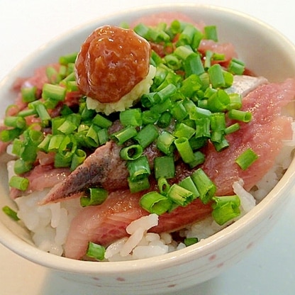 Ｗ醤油・生姜で　鰯の刺身と葱の丼